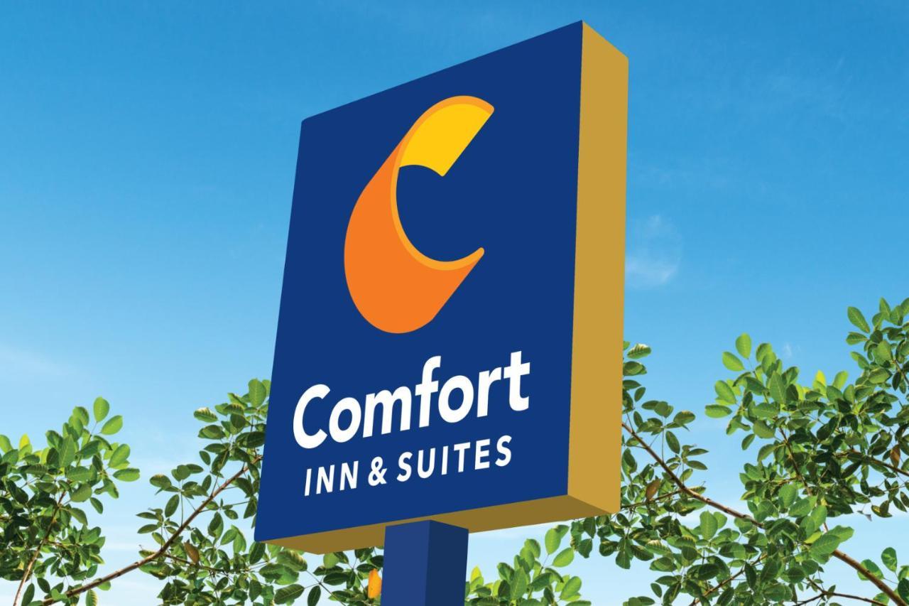 Comfort Inn & Suites Charlottesville Luaran gambar
